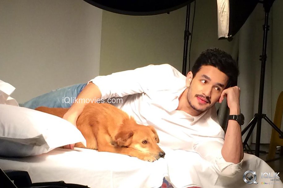 Akhil Akkineni